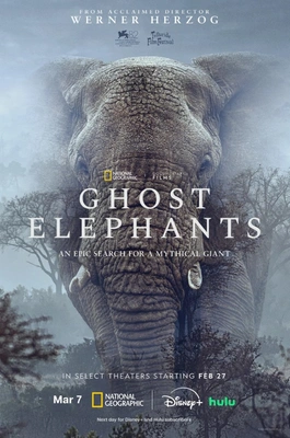 이미지가 없습니다.