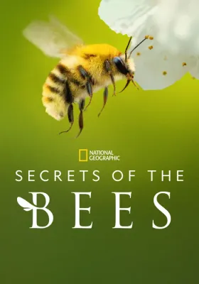 이미지가 없습니다.